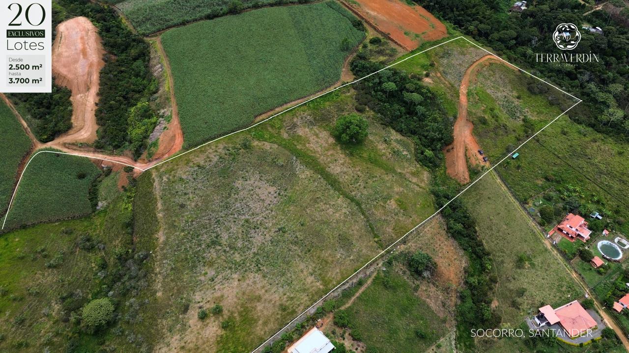 6 hectáreas socorro 20 lotes .jpg